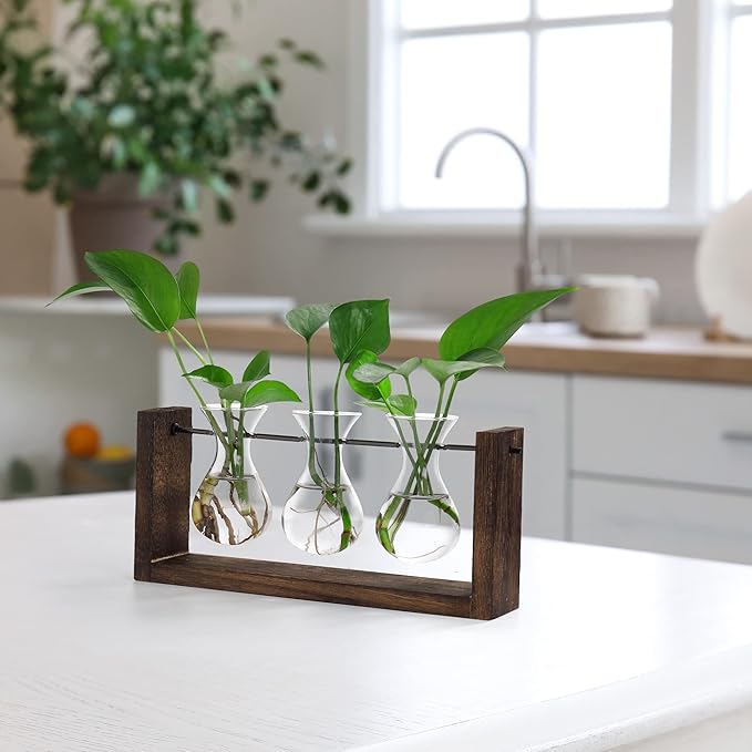 Terrarium Wall Hanging Propagation Station, 3 Glass Vases, Brown Wood Frame