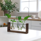 Terrarium Wall Hanging Propagation Station, 3 Glass Vases, Brown Wood Frame