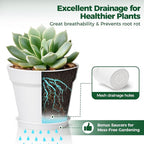 T4U 7.5 Inch Plant Pots 6 Pcs, Flower Pots for Plants, Plastic Planter Pots for Indoor Plants with Drainage Holes and Saucer (6 Pcs, 7.5", White)