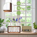 Terrarium Propagation Station Set, 2-Piece Clear Glass with Wood Stand