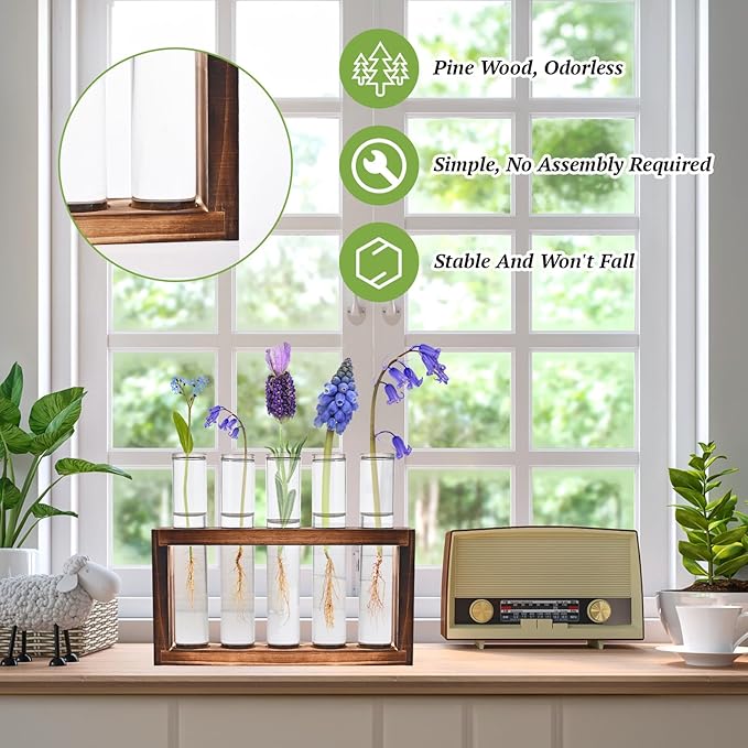 Terrarium Propagation Station Set, 2-Piece Clear Glass with Wood Stand