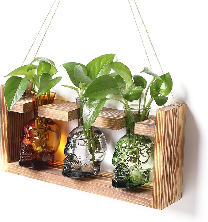 Terrarium Skull Propagation Vases Set of 3, Borosilicate Glass with Wood Stand