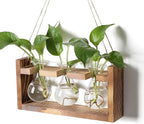 Terrarium Set of 3 Borosilicate Glass Bulbs with Wooden Stand