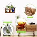 Terrarium Propagation Station with 3 Borosilicate Glass Bulbs and Wooden Stand