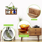 Terrarium Propagation Station with 3 Borosilicate Glass Bulbs and Wooden Stand