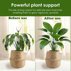 Stackable Monstera Moss Pole - 5 PCS Coir Plant Support Stakes for Indoor Plants, Bendable Totem Pole for Climbing Vines, Money Plant | Durable Indoor Plant Stakes (5 Pack)