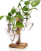 Terrarium Propagation Station, Pink Heart Glass Vase with Wood Stand
