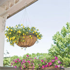 24 Pack Chain for Hanging Plants, 24 inch 4 Point Wire Plant Hangers for Hanging Baskets, Hanging Plant Chain for Indoor Outdoor Patio Garden Greenhouse Supplies