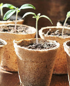 homenote Peat Pots, 60 Pcs 3.15 Inch Seed Starting Pots with Drainage Holes, Round Nursery Plant Pots with Bonus 20 Plant Labels