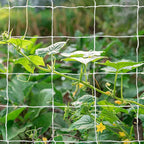 Tcamp Heavy-Duty Polyester Garden Trellis Netting Plant Climbing Net for Growing Vines Plants Vegetables Fruits Flowers, White Grow Tent (5Ft x15Ft, 3.5" Opening Mesh, 1 Pack)
