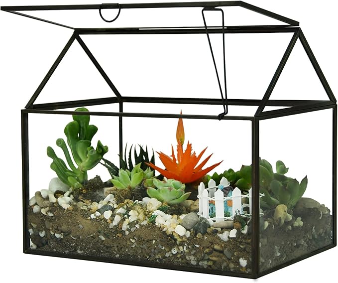 Terrarium Black House-Shaped Glass Planter with Swing Lid, Large