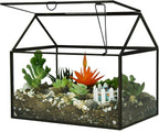 Terrarium Black House-Shaped Glass Planter with Swing Lid, Large