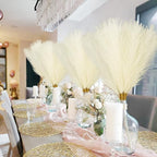 Artificial Pampas Grass Greenery Stems, 50 Pack, 21.6 Inch, Beige