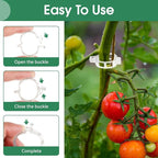 300 Pcs Plant Clips for Climbing Plants, Tomato Clips for Support, Plastic Garden Clips for Plants Grape Vine Vegetables Make Plant Grow Upright