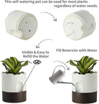 Nihow Self Watering Plant Pot Set: 6 Inch & 8 Inch Ceramic Planter with Drainage Hole & Water Storage Plus - Relief Design Self Watering Pot for Indoor Plants - Beige & Brown Flower Pot -Set of 2