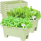 Self-Watering Rectangle Planter Boxes 8-Pack, 15.7-Inch Window Box Planter with Drainage Holes & Trays, Pots for Vegetables, Herbs, Flowers, Garden Windowsill Balcony (Light Green)