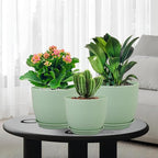 Medium Plant Pots 10/9/8 inch, Flower Pots for Indoor Outdoor Plants, Set of 3 Modern Decorative Plastic Planters with Drainage Holes and Saucers for House Porch Garden Plants, Green