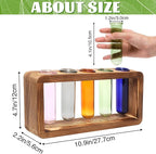 Terrarium Propagation Station with Wood Base and 5 Glass Test Tubes