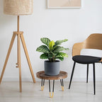 Plant Stand Indoor Outdoor, Mid Century Style Walnut Wood Color Plant Stand,Waterproof Design Modern Plant Table,Easily Assemble Come With Tools,Nice For Room Decor (L)
