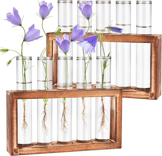 Terrarium Propagation Station Set, 2-Piece Clear Glass with Wood Stand