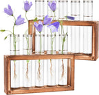 Terrarium Propagation Station Set, 2-Piece Clear Glass with Wood Stand