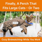 Large Cat Window Perch with Industrial-Grade Suction Cups - Solid Pine Wood Hammock Bed, Soft Cushion - 42 lb Capacity for Heavy Cats Inside