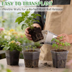 60 Pcs Clear Square Nursery Pots 4 Inch, Reusable Seedling Pots with Drainage Holes, Transparent Small Plant Potting Pot Containers for Seedlings Microgreens, Flowers, Indoor Gardening