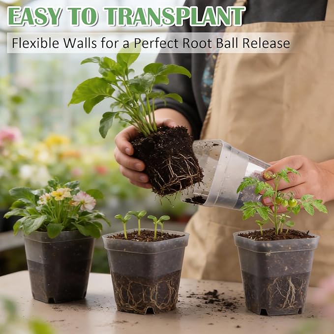 60 Pcs Clear Square Nursery Pots 4 Inch, Reusable Seedling Pots with Drainage Holes, Transparent Small Plant Potting Pot Containers for Seedlings Microgreens, Flowers, Indoor Gardening