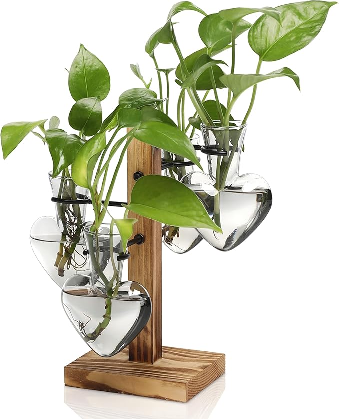 Terrarium Heart Glass Planter Set with Wood Stand and 4 Hangers