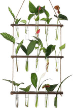 Terrarium Wall Hanging Propagation Station, 3-Tier Wood Frame, Glass Tubes