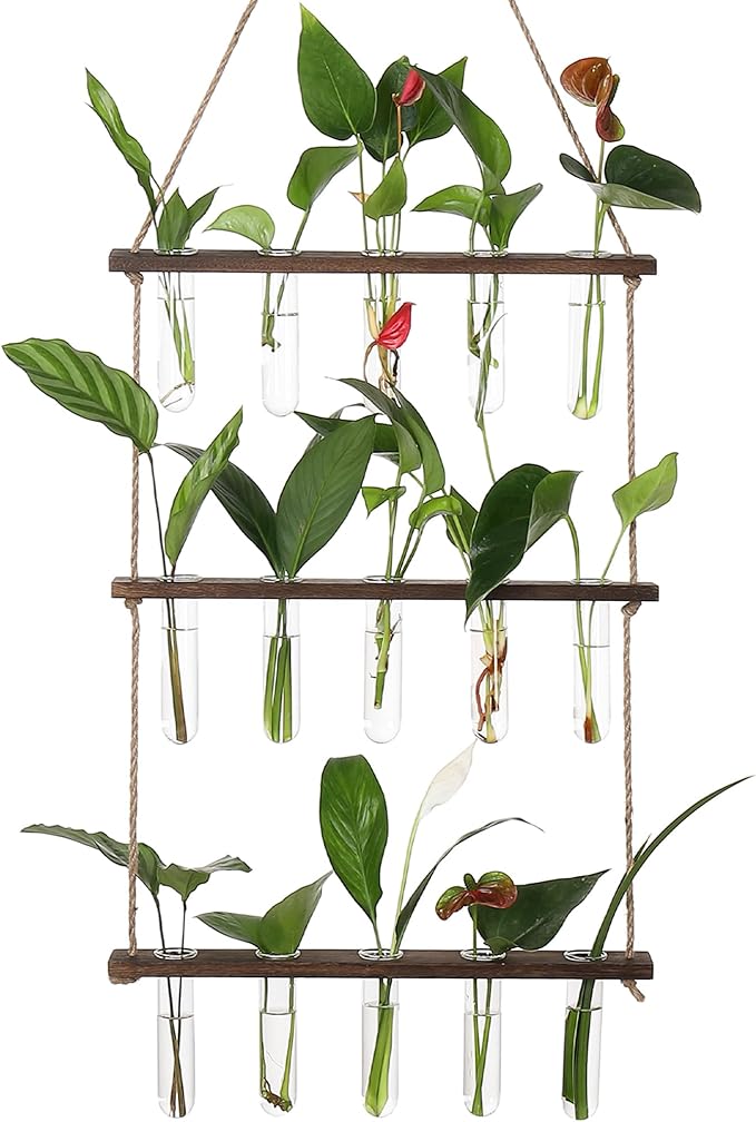 Terrarium Wall Hanging Propagation Station, 3-Tier Wood Frame, Glass Tubes