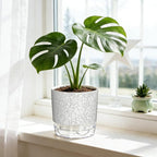 3 Pack Self Watering Pots for Indoor Plants, 4+5.5+6.3 Inch Self Watering Plant Pots, Flower Pots with Wick Rope and Reservoir - Crack Texture