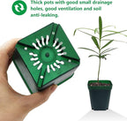 Square Nursery Succulent Pots 4 Inches 60 Pcs Deep Flower Plant Nursery Seedling Grow Pots Plastic with Drainage (Green, 4Inches, 60Pcs)