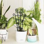 ZEAYEA 24 Pack Trellis for Potted Plants, Plastic Small Trellis for Pot, Mini Climbing Trellis Flower Pots Support for Potted Climbing Plants Vines