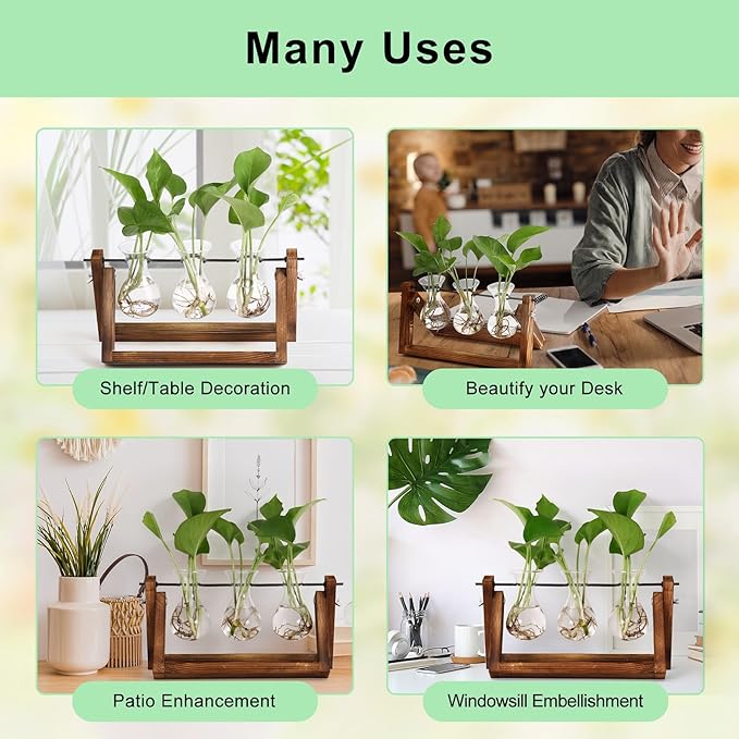 Propagation Station Terrarium, 3 Glass Vases with Wooden Stand