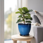 Ceramic Planters for Indoor Plants - 6.3 Inch Plant Pot with Drainage Hole and Saucer Round Modern Planter Home Garden Patio Decor Blue