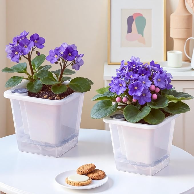 FAMZ Self Watering Pots for Indoor Plants 3 Pack，Clear Plant Pots with Drainage for African Violet、 Orchid、Succulent Plants Square Plant Pots（White 5.12"）