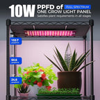 Barrina CX83 Plant Stand with Grow Lights, 6-Tier Plant Shelf with 10W Full Spectrum Ultra-Thin Grow Light Panel, 3 Modes, Auto Timer, Ladder Flower Pot Stand Display Rack 15.7" L x 11.8" W x 70.9" H