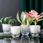 4 Pack 4 inch Self Watering Pots Planters for Indoor Plants, African Violets Pots with Wick Rope, Modern Plastic Nursery Pots for All House Plants,Flowers Succulents,Herbs,Cactus,Orchids