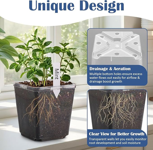 5.5 Inch Clear Square Nursery Pots with Drainage & Labels, 30Pcs Reusable Seed Starter Pots for Vegetables, Indoor Outdoor Gardening, Thick Transparent Plastic Plant Pots for Seed Starting