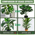 10pcs Stackable Monstera Plant Support Stakes for Indoor Outdoor Plants, Garden Accessories for Climbing Potted Plants, Plant Sticks for Vine Training Stem Stabilization