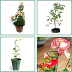 4 Pack Plant Stakes,Plant Support Stakes for Two Sizes(16 or 32 Inches),Plant Stakes for Outdoor Plants,Garden Flower,Tomato(Green)