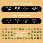 Smart Planter for Indoor Plants, White Plastic with Automated Watering