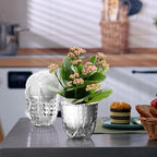 Self Watering Pots for Indoor Plants, Flower Pots, Self Watering Plant Pot-6pcs 4inch Clear