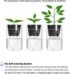 ORIMERC 2 inch Net Cups Pots 30 Pack with 30 feet Self Watering Wick & 30 Plant Labels for Hydroponics Aquaponics Planter Indoor Outdoor Growing Baskets Slotted Mesh UV Resistant & BPA Free