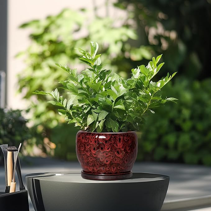 SQOWL Ceramic Pot for Plants - 6 Inch Plant Pot Indoor with Drainage Hole and Saucer, Decorative Flower Pot Outdoor, Round Succulent Planter, Front Porch Decor, House Warming Gifts New Home, Red