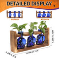 Terrarium Set of 3 Skull Glass Propagation Vases with Wood Stand