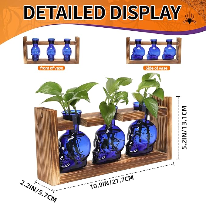 Terrarium Set of 3 Skull Glass Propagation Vases with Wood Stand