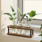 Terrarium Propagation Station, Brown Wood Stand with 3 Glass Jars