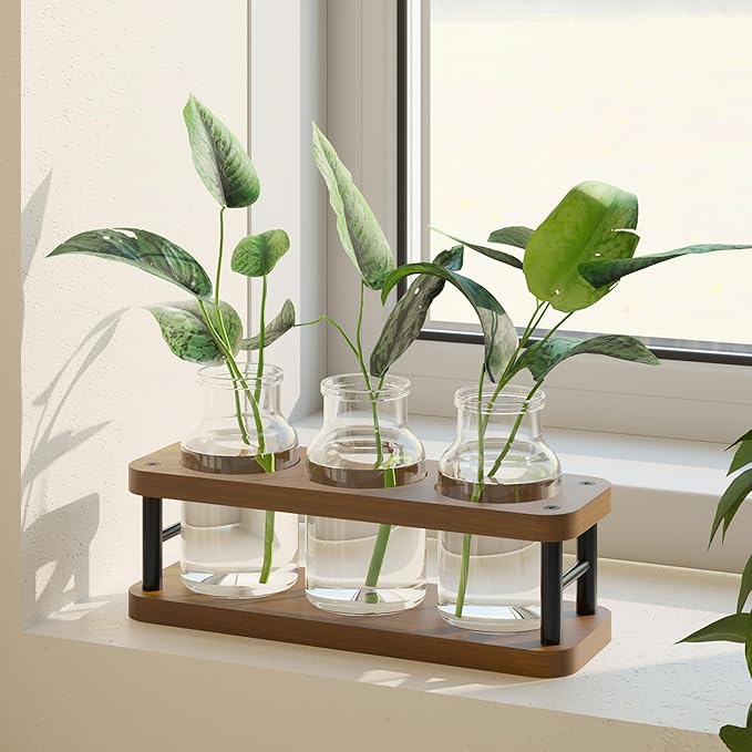 Terrarium Propagation Station, Brown Wood Stand with 3 Glass Jars